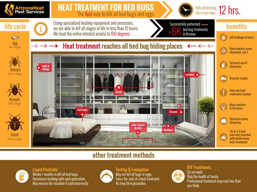 BED BUG HEAT TREATMENT