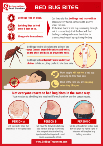 bed-bug-bites-infographic-by-Arizona-Heat-Pest-Services