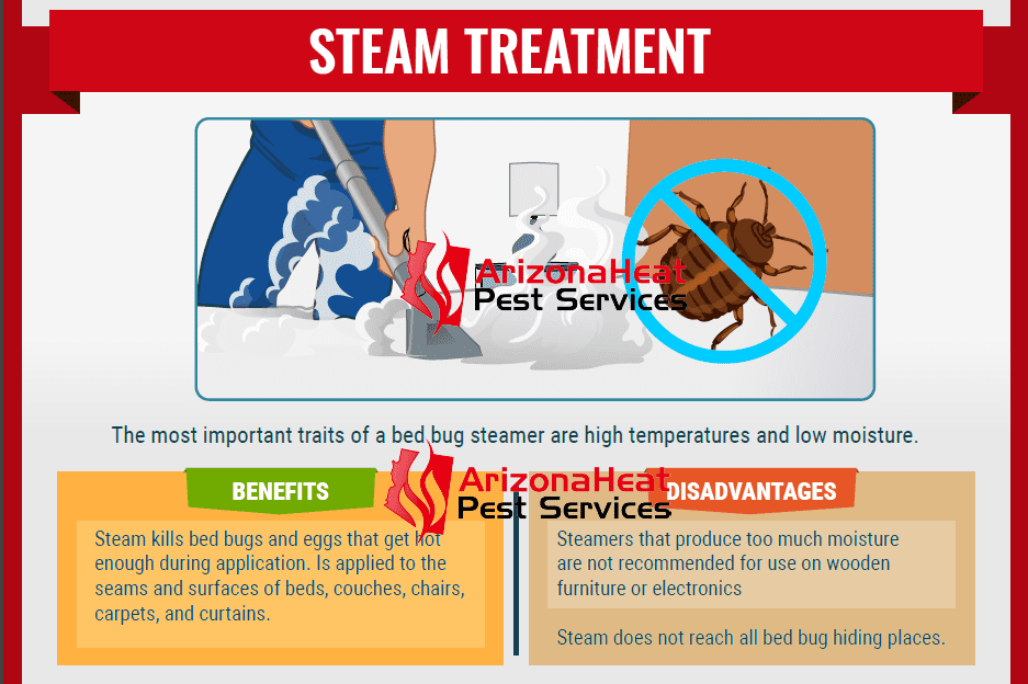 Localized Steam Treatments for Bed Bugs